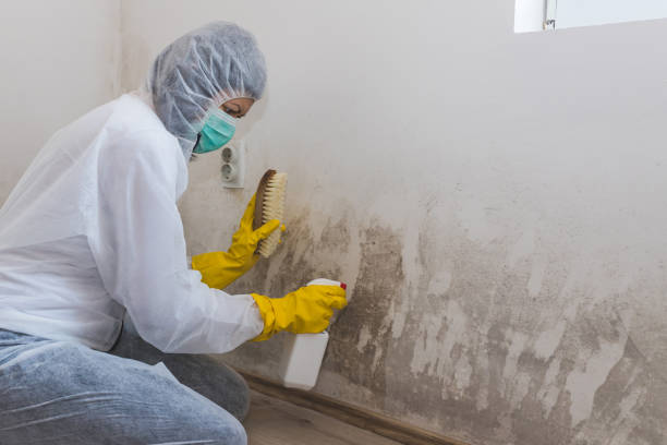 Best Asbestos and Lead Testing During Mold Inspection  in Mustang Ridge, TX