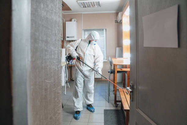 Biohazard Mold Removal in Mustang Ridge, TX